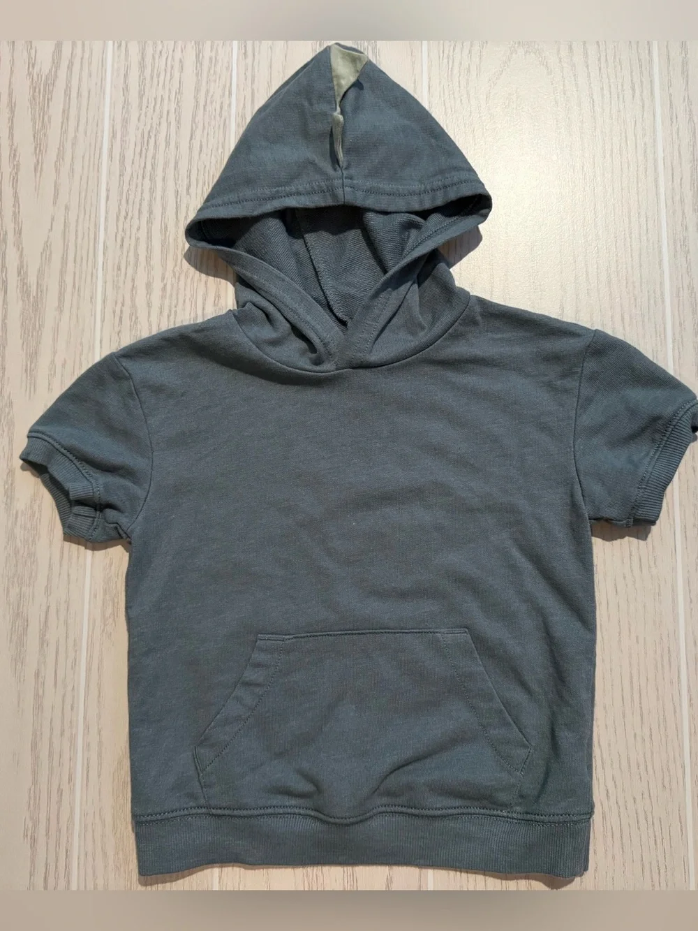Carter’s Boys 2T Dinosaur Hoodie Shorts 2 Piece Outfit Set Gray Green